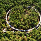 Carril bici en Bélgica le permite viajar a través del bosque a una altura de 10 metros sobre el suelo