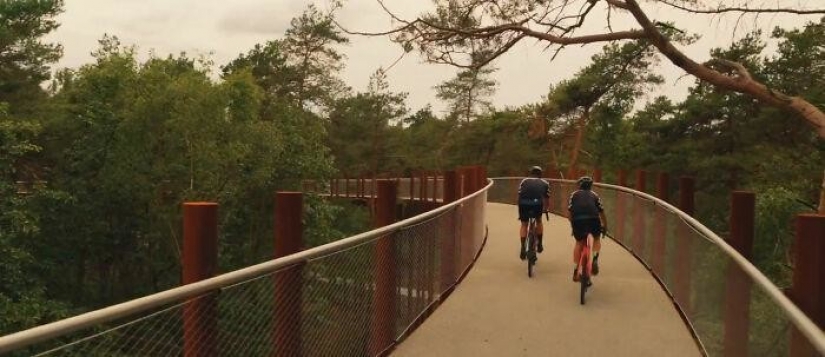Carril bici en Bélgica le permite viajar a través del bosque a una altura de 10 metros sobre el suelo