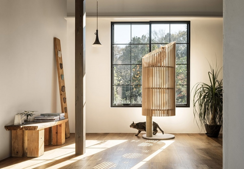 Casa de gato de mármol y madera por medio millón de rublos