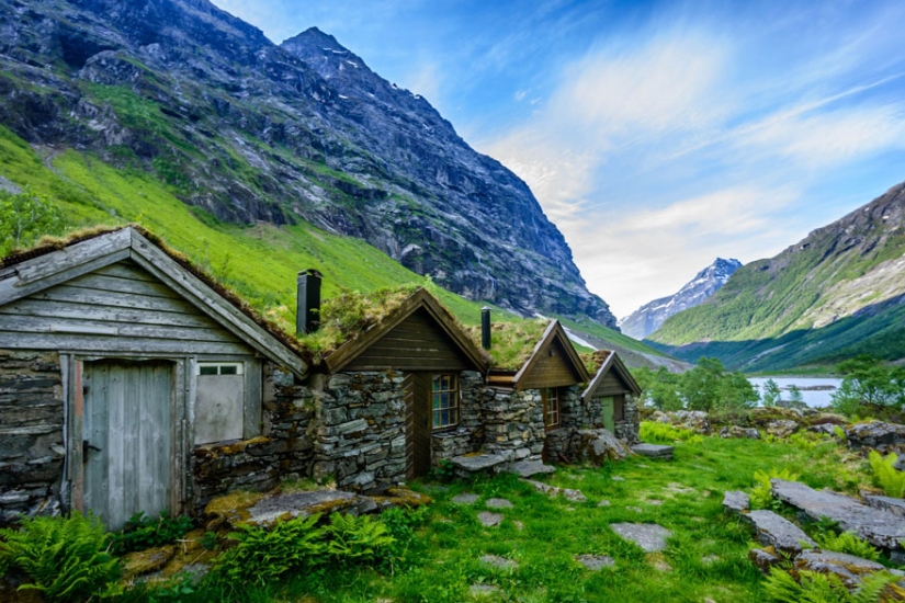 Casas escandinavas con techos verdes que parecen un cuento de hadas