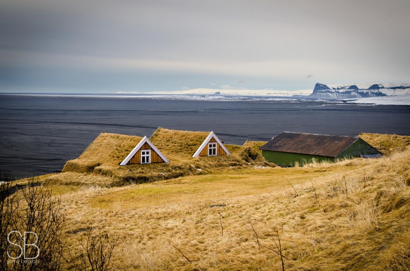 Casas escandinavas con techos verdes que parecen un cuento de hadas