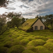 Casas escandinavas con techos verdes que parecen un cuento de hadas