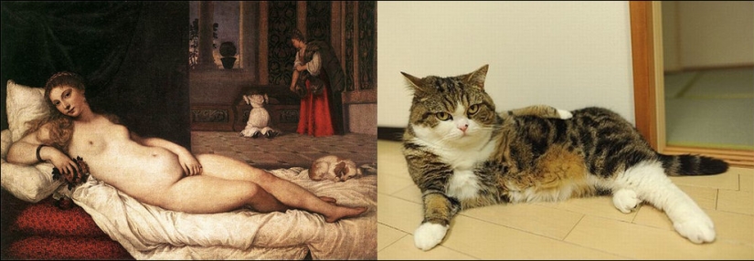 Cats and art