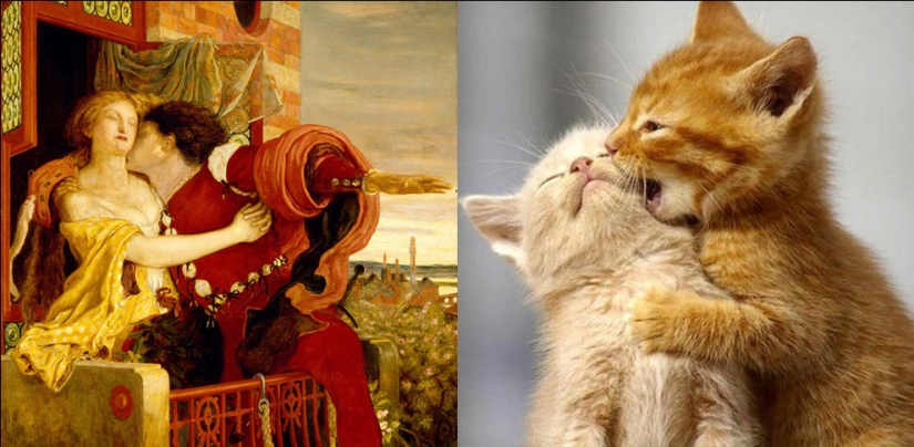 Cats and art