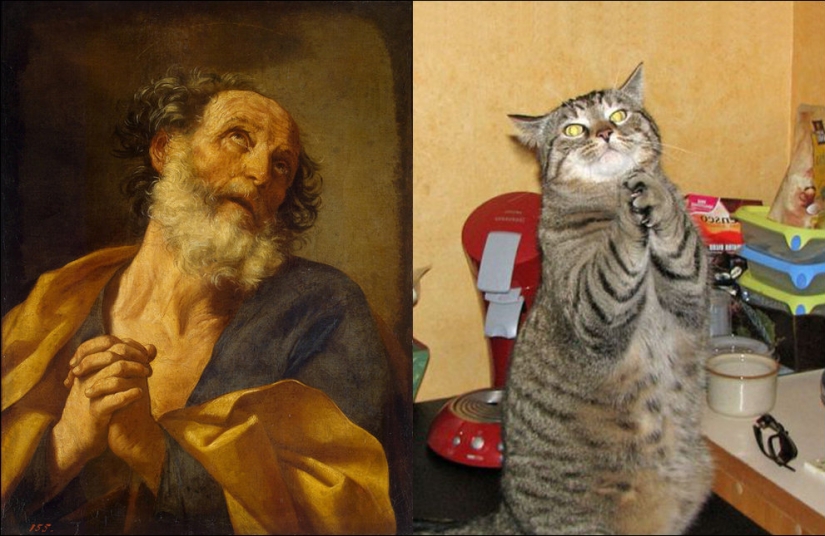 Cats and art