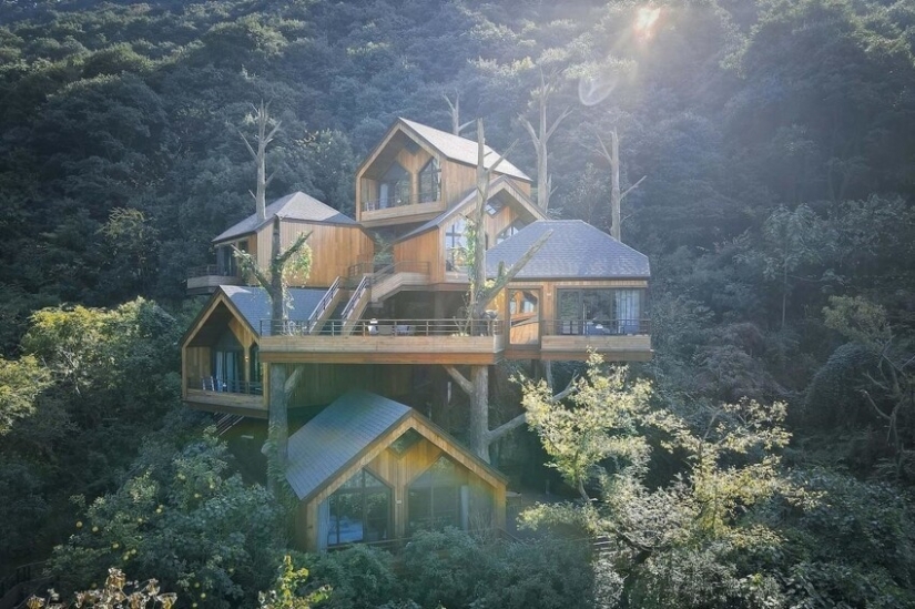 China built a magical hotel from tree houses