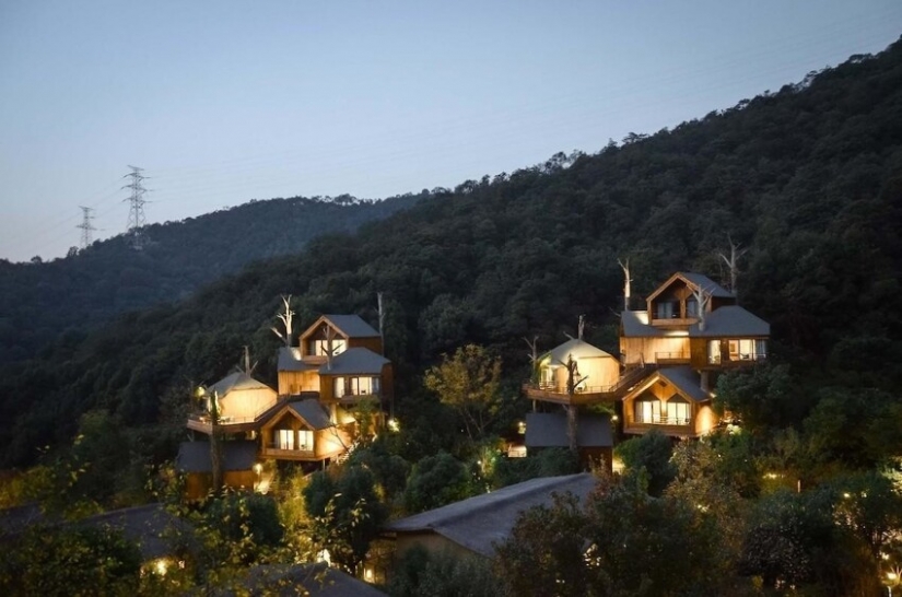 China built a magical hotel from tree houses