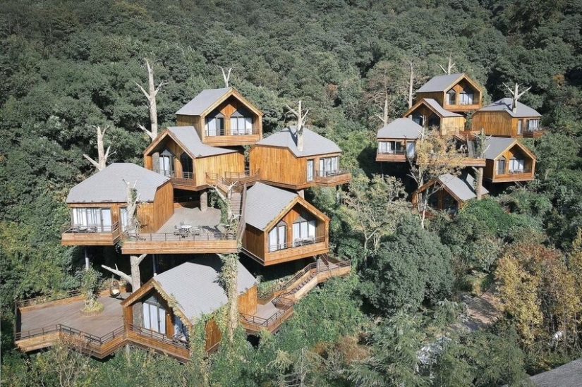China construyó un mágico hotel de casas en los árboles