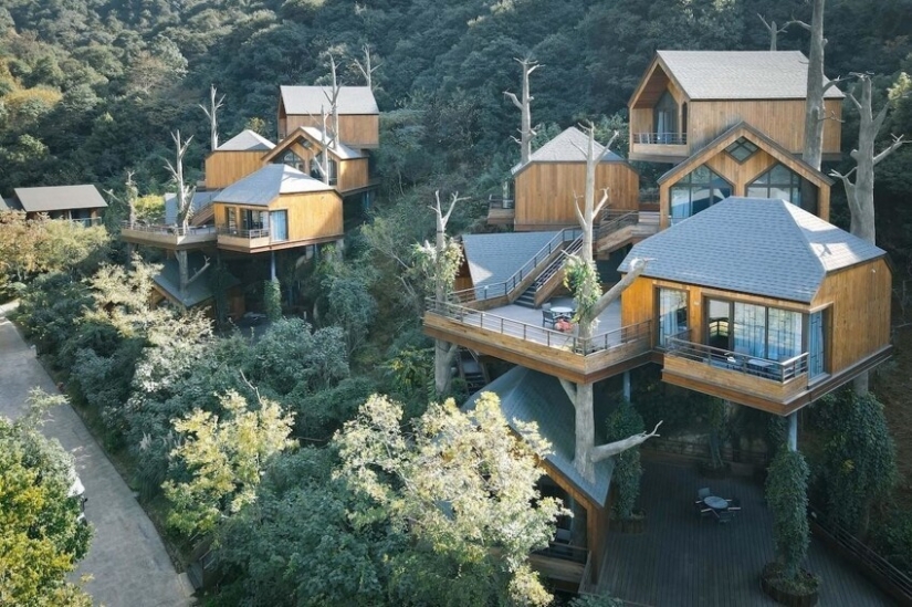 China construyó un mágico hotel de casas en los árboles