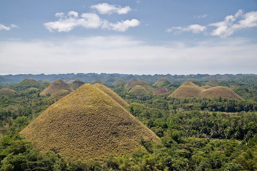 Chocolate Hills of Bohol Island