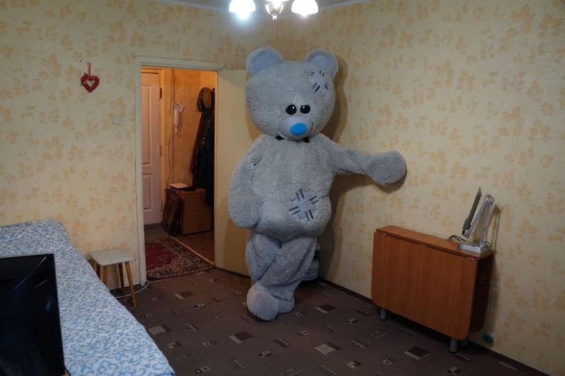 Cómo alquilar un apartamento con alma y una vuelta de tuerca: el oso den presentará