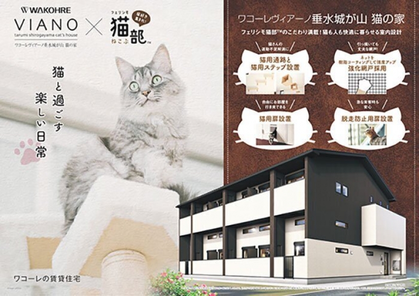 Cómo construir una casa para un solo gato, amantes de Japón