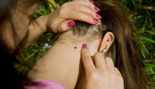 Cómo escapar de las garrapatas? Avisado significa armado