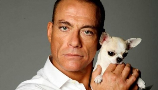 Cómo Jean-Claude Van Damme salvó un paraíso de cachorros Chihuahua de la muerte