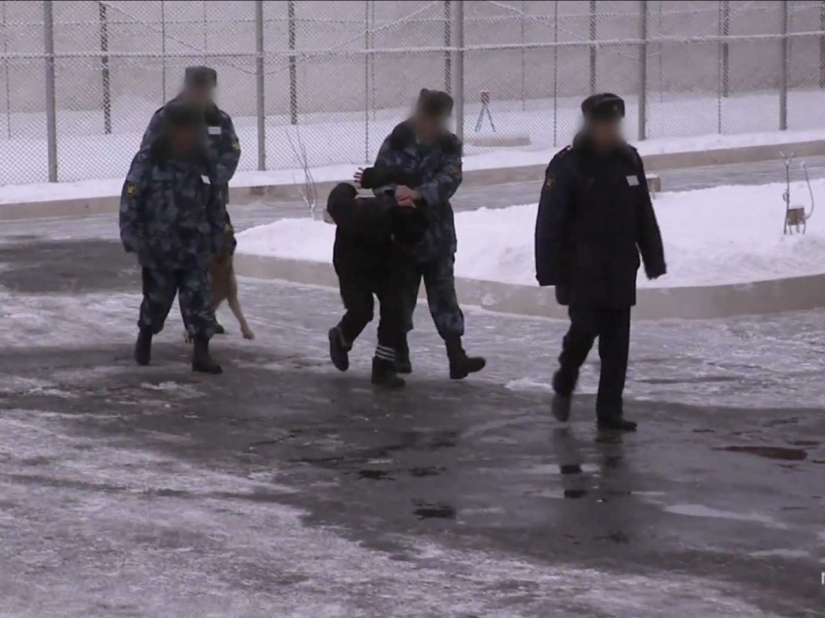 Cómo se organiza una de las prisiones más severas de Rusia "Delfín Negro"