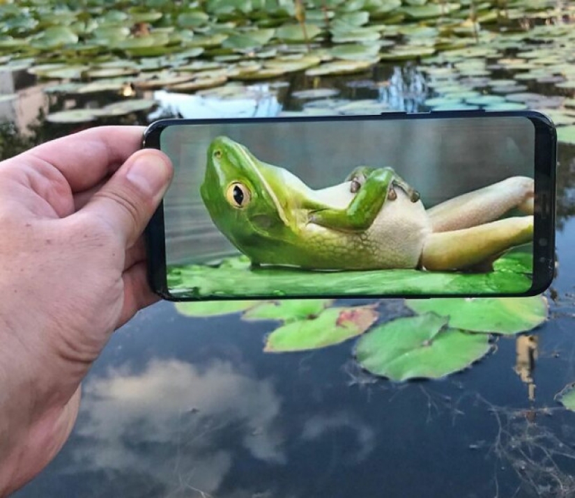 Cómo un artista combina la realidad con imágenes de su teléfono inteligente