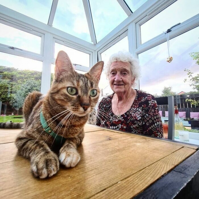 Cómo un gato y su hombre circunnavegan el mundo en una bicicleta