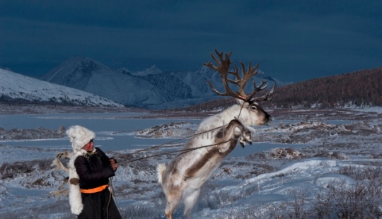 Cómo vivir en peligro de extinción, de la tribu de pastores de renos de Mongolia