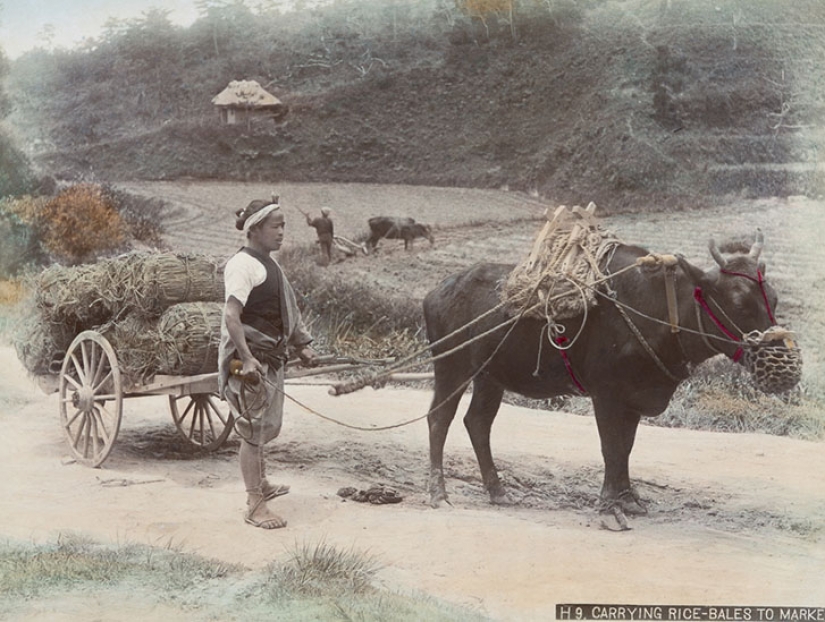 Colors of Japan XIX century through the eyes of American photographer