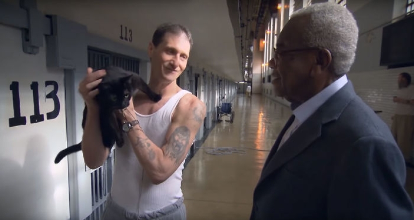 Convictos y kotans: se ha lanzado un nuevo programa de rehabilitación de presos en los Estados Unidos