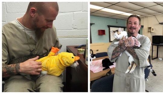 Convicts and kotans: a new prisoner rehabilitation program has been launched in the States