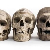 Count of bone? On the black market Instagram appeared human remains