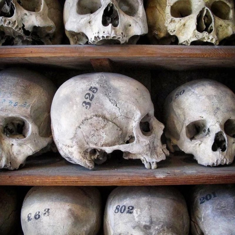 Count of bone? On the black market Instagram appeared human remains