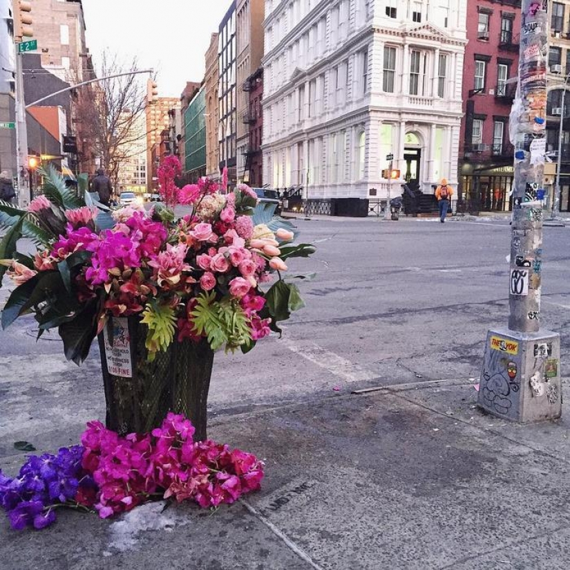 ¿Crimen o arte? Alguien está convirtiendo los botes de basura de la ciudad de Nueva York en floreros gigantes con flores.