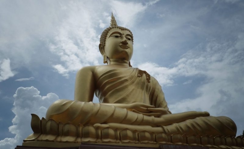 "¿De dónde son los palacios? ¡Meditado!": la vida y la abnegación de los Dalai Lamas