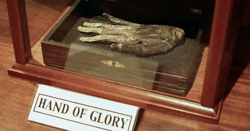 De la mano de la gloria — el misterioso exposición del Museo Británico Whitby