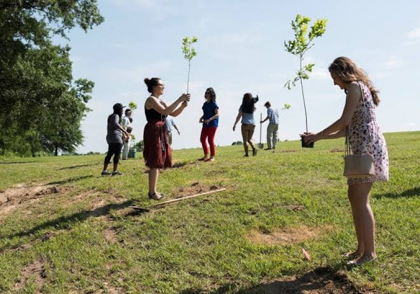 Diploma para las plantas de semillero: en las Filipinas, los graduados están obligados a plantar 10 árboles