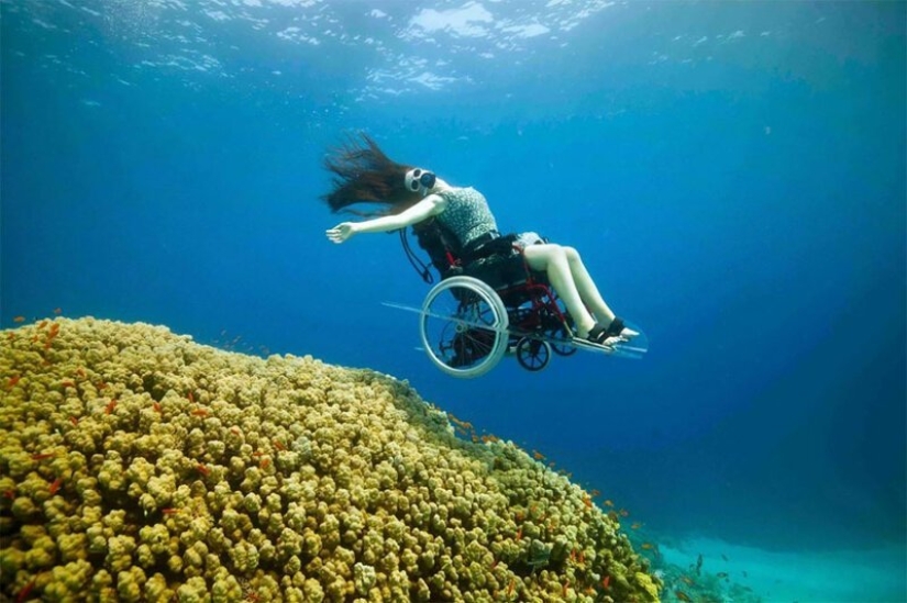 Dreams come true: how to implement wheelchair diving