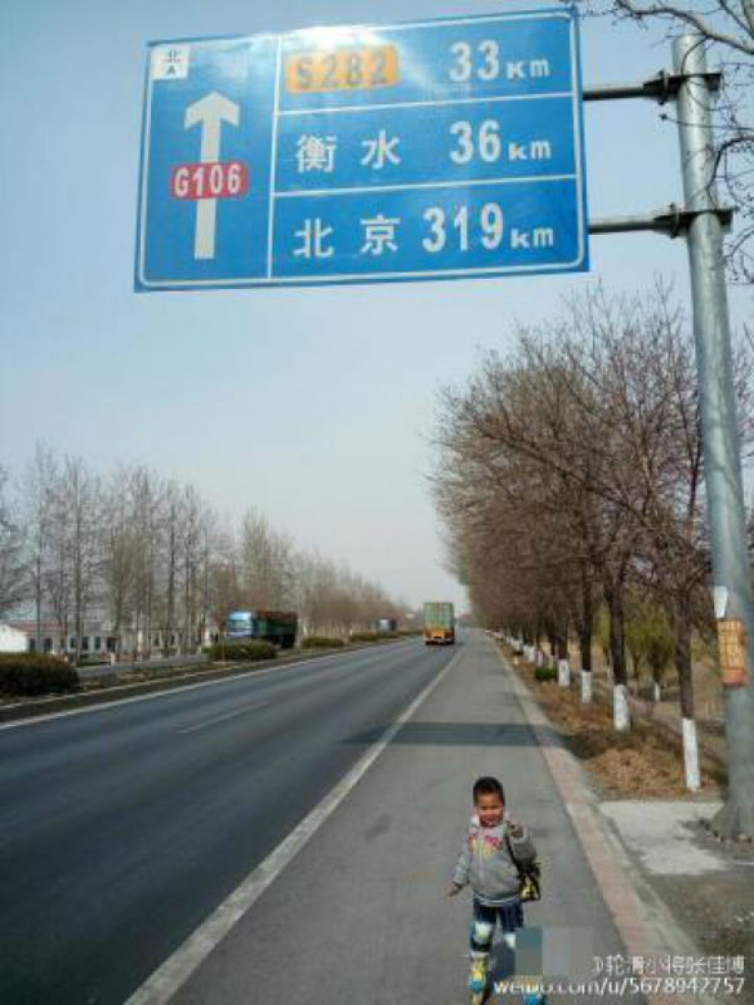 Educación en chino: un niño de 4 años recorrió más de 500 kilómetros en patines
