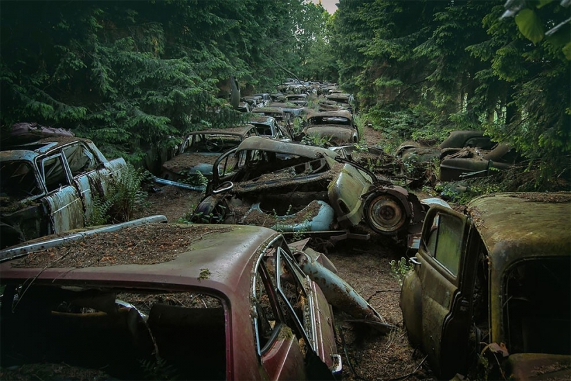 El alemán pasó diez años buscando por toda Europa cementerios de coches viejos , desde tractores hasta Mercedes