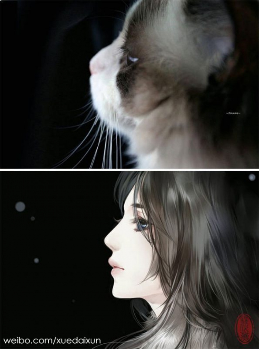 El artista Chino se convierte gatos y otros animales en las personas, y es increíblemente