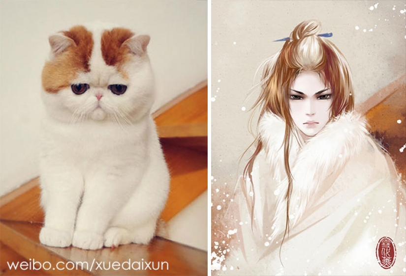 El artista Chino se convierte gatos y otros animales en las personas, y es increíblemente