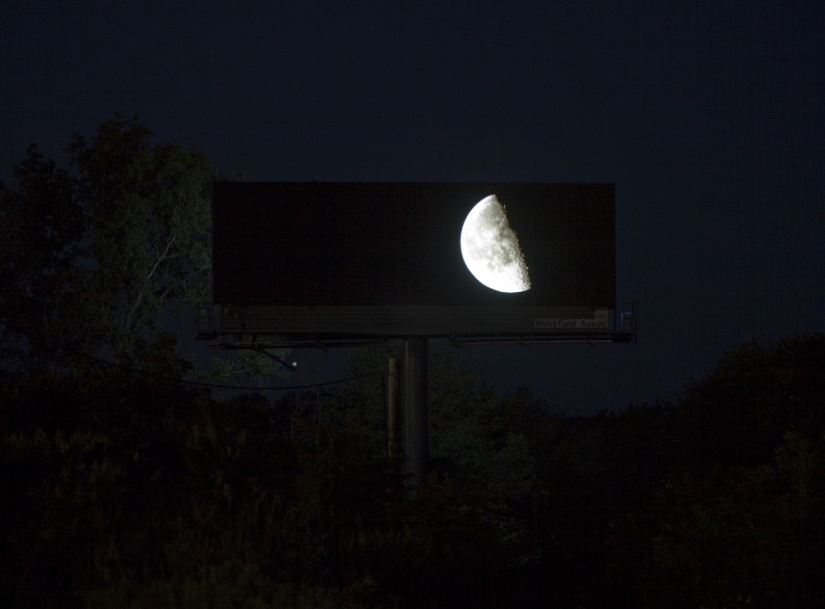 El artista compró una enorme valla publicitaria para mostrar la belleza de la naturaleza.