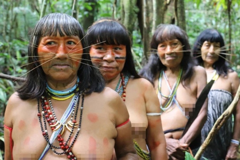 El Espíritu de la Amazonía: la vida de la antigua tribu Matses - "pueblo jaguar"