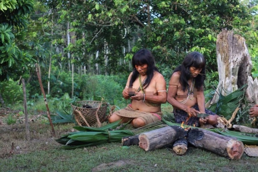 El Espíritu de la Amazonía: la vida de la antigua tribu Matses - "pueblo jaguar"