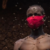 El Rey de las abejas es un africano que no le teme a los insectos picantes