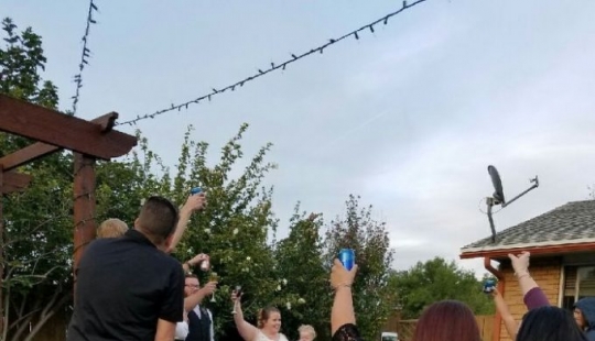 Emociones divertidas de los niños en las bodas.