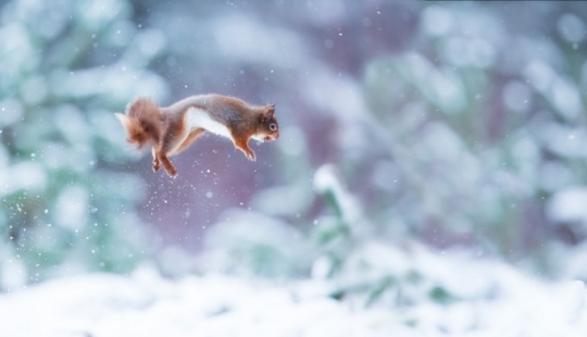 En el lugar correcto en el momento correcto En el lugar correcto en el momento correcto