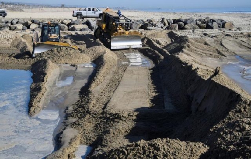 En fotos: el derrame de petróleo de California mata a los peces y daña los humedales