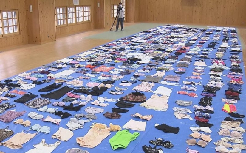 En Japón, la policía detuvo a un poseedor de un récord pervertido