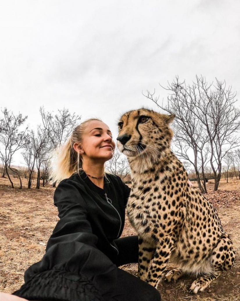 En los brazos de los guepardos: esta niña vive en la naturaleza y considera que los depredadores amigos