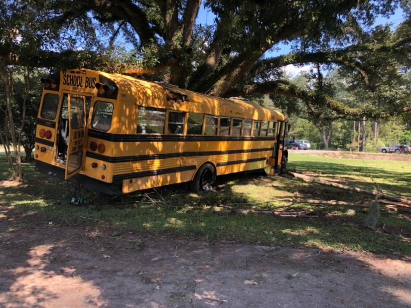 En Louisiana, un niño de 11 años robó un autobús escolar y lo estrelló contra un árbol