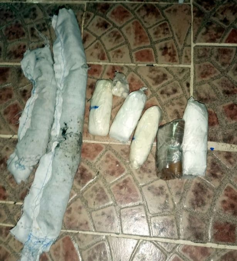 En una prisión panameña, un mensajero de drogas con patas fue capturado