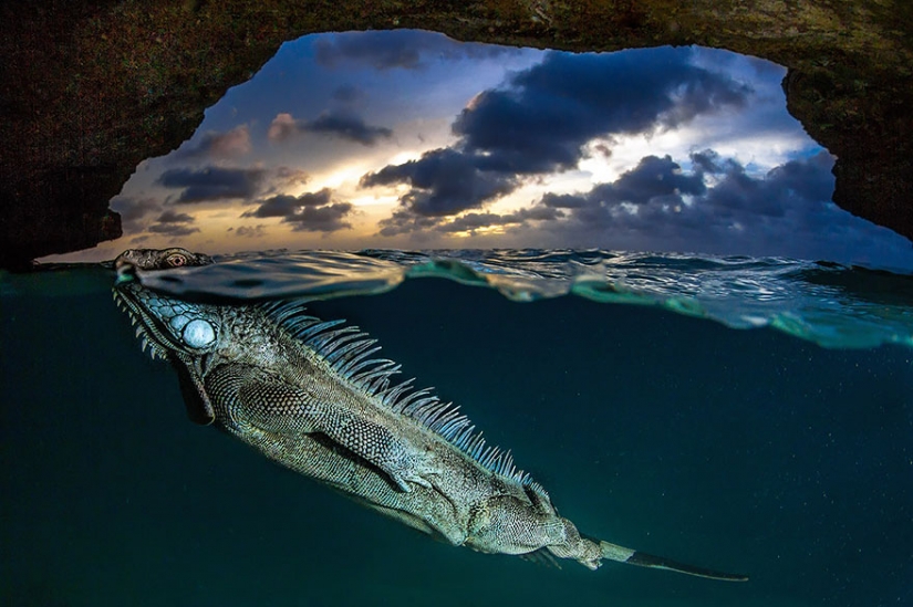 Entre dos mundos: en estos polupodvizhnym foto muestra lo que le espera detrás de la cortina de agua