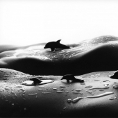 Erótica paisajes del cuerpo femenino