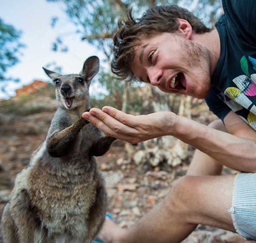 Este hombre ha dominado a la perfección el arte de las selfies con animales.